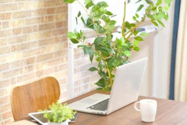 激安おすすめ講座も多数【海外講座も有】オンライン学習で資格